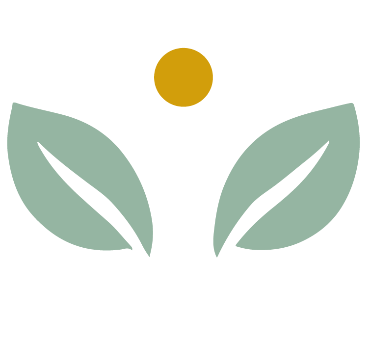 Logo Dra. Wilma de Albuquerque